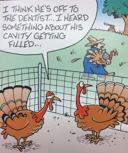 cavity turkey.jpg